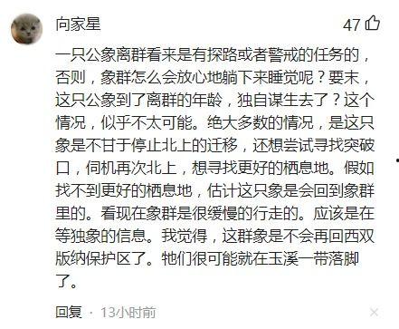 网友爆料云南跟团视频是真的吗,真相揭秘  第3张
